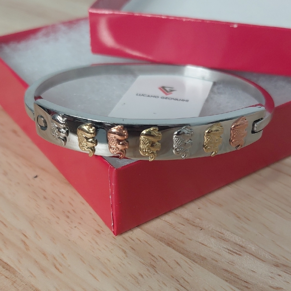 Lucano Geovanni Stainless Steel Elephant Bangle